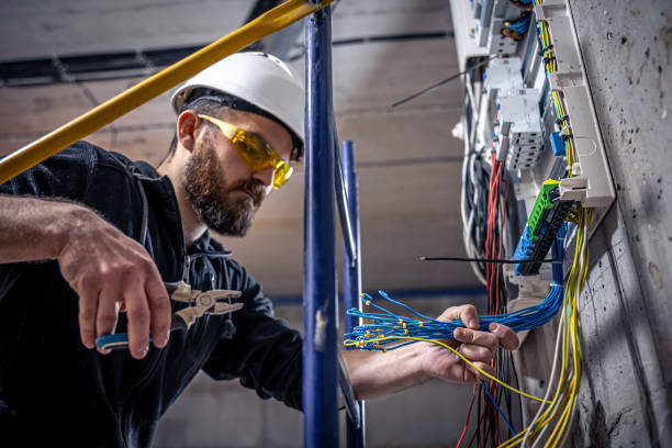 Best Electric Panel Repair  in St David, AZ